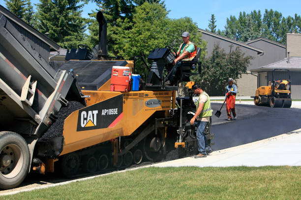 Best Best Driveway Pavers  in Moriarty, NM